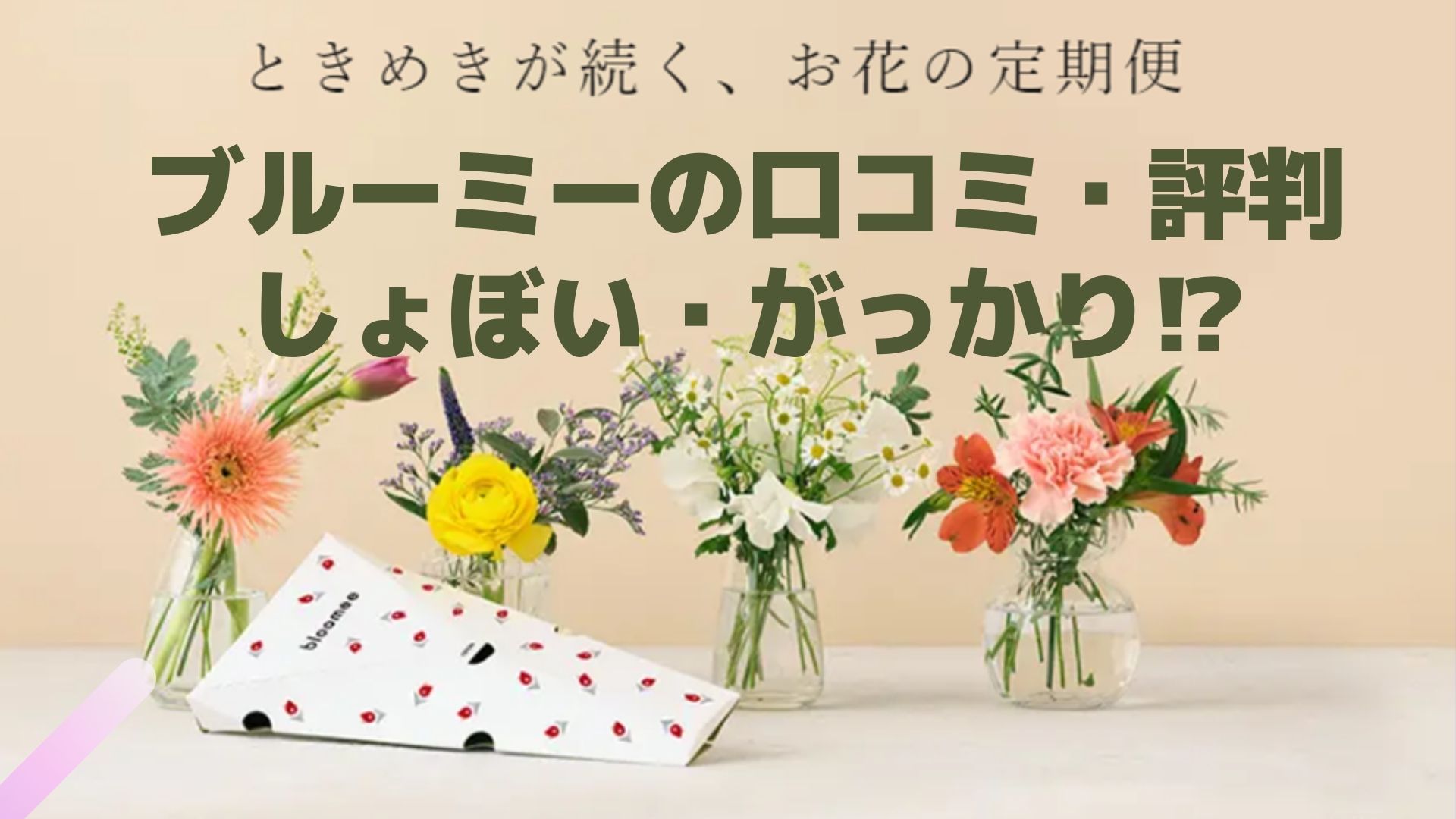 お花の定期便 ブルーミーの口コミ 評判は しょぼい がっかりは本当 マサきっとブログ